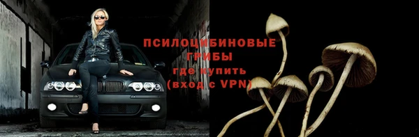 ешки Каменка