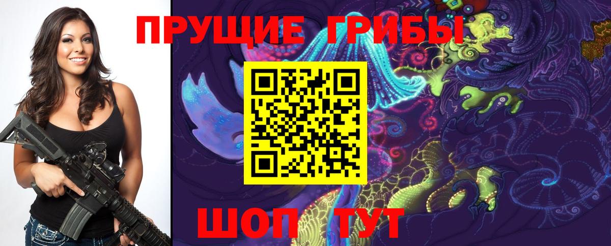 Псилоцибиновые грибы Cubensis  Ефремов 