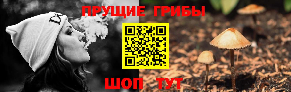 Галлюциногенные грибы MAGIC MUSHROOMS  Вход с VPN  Ефремов 